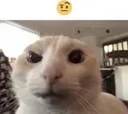 c_hm