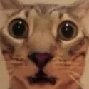 guh