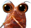 krillissue krillissue
