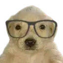 GW_QueNerd