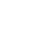 InsomniacSpider