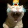 JJJJ Discord emoji