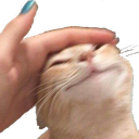 FW_catpat custom emote from Femdom World