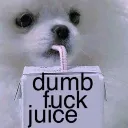 DumbFuckJuice