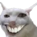 XD
