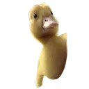 smllerduckypart2