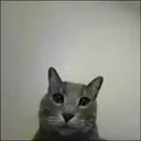 Gerald