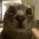 goob_so_insane