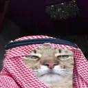 arabwidecat