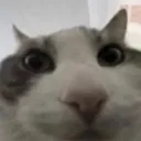guh