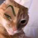 eyebrow