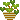 a4_april_plant