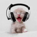 KittyHeadphonesmusic