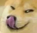 mlem mlem