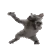 catDance