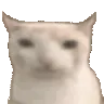 catEat
