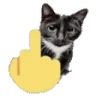 FYOUCAT