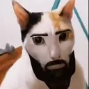 gigacat