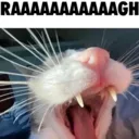 RAAAAAGH