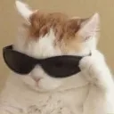 catcool catcool