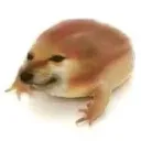 shrog