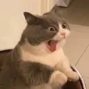shockedmelvin shockedmelvin