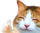thumbsupcat