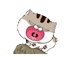 MEOOOOW