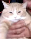 chip_hands