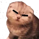 lorcacat