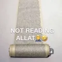 notreadingallat