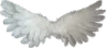 u_wings
