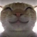 catuwu