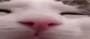 eep