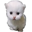 ewpert ewpert