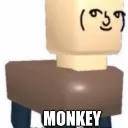Monkey