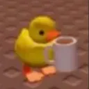 duck