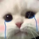 __