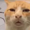 whar