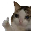 SadThumbsUp