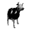 cowJAM