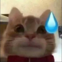 chiu