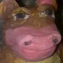 curseddingo curseddingo