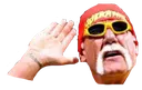 hulkamania