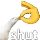 shut