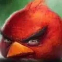 angrybird