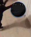 frcoalcat