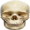 Skull_irl