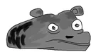 MeyraDesbaer
