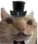cat_fancy